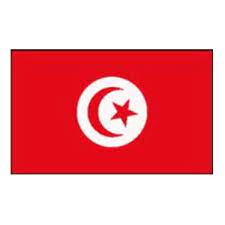 Många affärsmän har flytt från landet, och tagit kapital och teknisk expertis med sig. Flagga Tunisien Partykungen