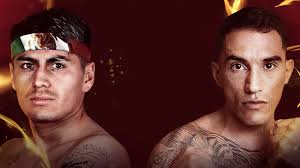 Fierro vs Estela Live Stream Details, Fight Card, and Odds