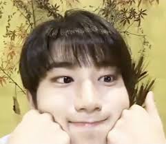 Tegan Nicholson (lemonadia93)