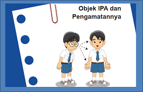 Paket buku mandiri yang terdiri dari : Ciri Ciri Makhluk Hidup Materi Dan Kunci Jawaban Ipa Smp Kelas 7 Halaman 39 Ringtimes Bali