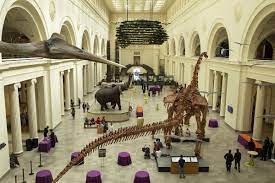 Located in downtown chicago, the art institute is one of the world's great art museums, housing a collection that spans centuries and the globe. Chicago Museum Free Days For February 2020 Field Museum Free Chicago Tribune