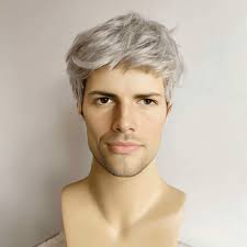 Mens Wig Grey