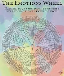 Expanded Emotions Wheel For Developing Emotional Intelligence Oc Coolguides Emotions Wheel Emotion Chart Emotions