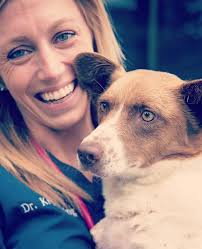 HAPPY ONE YEAR ANNIVERSARY, LUCY!...