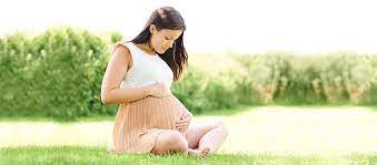 How to be a surrogate in canada. Surrogacy In Canada Online Surrogate Mother Qualifications