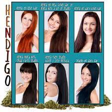 Henna Indigo Hair Guide Indigo Hair Hair Guide Hair And Beard Styles