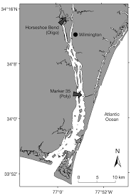 Location guide for cape fear, north carolina tide station, also showing nearby tide stations and surf breaks. Cape Fear River Estuary North Carolina Usa Horseshoe Bend Download Scientific Diagram