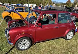 Image result for Autumn Haze 1960 Chrysler