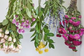 How to dry flowers properly. Tips For Harvesting Drying And Storing Flowers