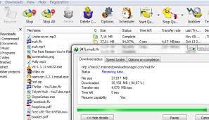 Another free download manager is internet download accelerator (ida), which can integrate a toolbar with firefox to make downloading files probably the coolest feature in jdownloader is its remote management ability. Internet Download Manager Cracked Download Cracked Games Org