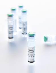 Image result for Pramlintide