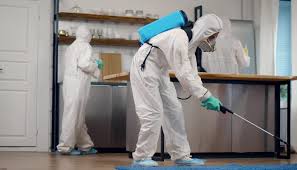 Biohazard Cleanup: Why Trusting the Pros is the Only Safe Option for Your  Health and Home - PuroClean of Reading
