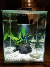 Betta Need 2 5 Gallons A Place To Hide Temperatures Of 72 80 Degrees Fahrenheit And A Filter Th Betta Fish Tank Tropical Fish Tanks Tropical Fish Aquarium
