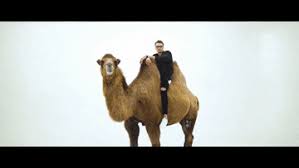 The best gifs of woot woot on the gifer website. Top 30 Car Camel Gifs Find The Best Gif On Gfycat