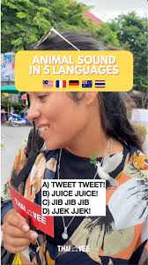Ever wondered how ’bird‘ sounds in Thai?🐦🐦 Let’s see if you can guess!  🤔, Want to learn more fun Thai words and phrases?, Click our 🔗 link in  bio and start your Thai learning journey today! 🌟, ...