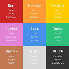 lesson 4 6 steps to build a memorable brand color palette