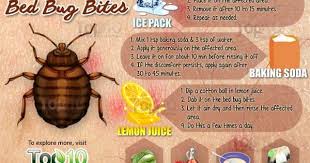 How To Get Rid Of Bed Bug Bites Top 10 Home Remedies