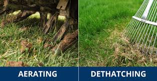 How much does dethatching cost? Aerating Vs Dethatching Sod University Sod Solutions