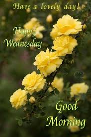 Good Morning Wednesday Good Morning Wednesday Good Morning Flowers Good Morning Beautiful Pictures