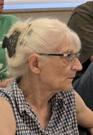 Former Bemus Point, Gerry Commercial Buildings Sold