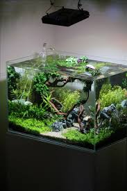Planted Tank Coisia Vallem By Lauris Karpovs Aquascape Awards Pin By Aqua Poolkoh Aquarium Fish Aquarium Fish Tank Diy Fish Tank