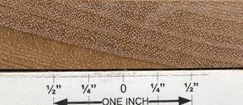 Image result for Entandrophragma delevoyi