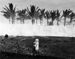 In deep water it travels as fast as 800 km (500 miles) per hour, with enormous wavelengths of more than 500 km (310 miles) but small wave amplitudes of about 30 to 60 cm (1 to 2 feet). Benchmarks April 1 1946 Hawaii Tsunami Ushers In A Pacific Wide Warning System