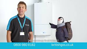 Answers to all these questions and many more interesting facts about the plumage of the penguins is thick and dense, the torso of the bird is covered with feathers like tiles, and they also protect them from getting wet in. British Gas Go Green Without The Extreme At David Reviews
