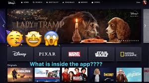 Check out the list of new shows and movies below: Disney Plus Disney Preview What Is Inside The App How Does It Look Youtube