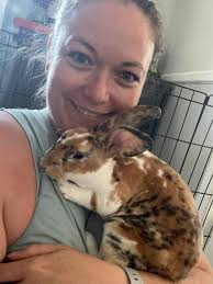 What breed is my large rescue bunny?