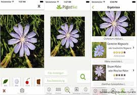 Sie möchten endlich ihren traumgarten in die tat umsetzen? Die Besten Garten Apps Fur Hobbygartner Garten Hausxxl Garten Hausxxl