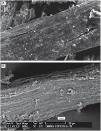 Data correspond to usage on the plateform after 2015. Effect Of Reaction Conditions On The Thermal Stability Of Polystyrene Grafted Oil Palm Empty Fruit Bunch Opefb Fiber