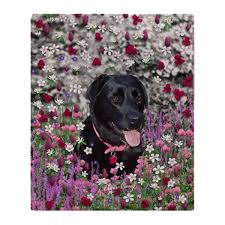 50″ x 70″ tapestry throw 100% cotton made in the usa. Sold Abby The Black Labrador In Flowers I Fleece Throw Blanket 50 X60 Dianeclancy Cafepress