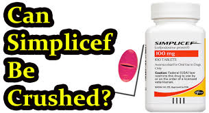 These infections are caused by susceptible strains of certain bacteria, such as proteus mirabilis, pasteurella multocida, escherichia coli. Can You Crush Simplicef For Dogs Antibiotics For Dogs