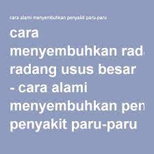 Cara Menyembuhkan Radang Usus Besar Paru Paru Penyembuhan Penyakit