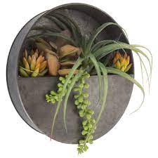 Favorite add to more colors metal geometric wall planter hanging succulent planters in white/black metal wall hanging. Round Air Plant Succulent Metal Wall Decor Hobby Lobby 1565530
