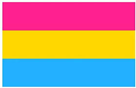 The pansexual pride flag is a pink, yellow and blue flag, designed as a symbol for the pansexual community to use to increase its visibility and recognition, and distinguish itself from bisexuality. The Jokeshop New Pansexual Flag Festival Banner Gay Pride 5 X 3 Foot 90 X 150cm Polyester Pan Flag Buy Online In United Arab Emirates At Desertcart 201097330