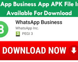 It will recognize your operating system and offer the correct file for you. Whatsapp Business App Apk File Is Now Available For Download