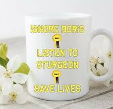 I don't support nicola sturgeon but i support her decision and my respect for her has. Lockdown 2020 Snp Nicola Sturgeon Mug Cup Rude Gift Novelty Funny Ebay