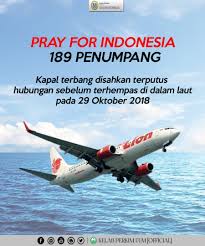 Sebuah pesawat jumbo menanggung kos penerbangan komersial sekitar £100 juta, jadi jika kapal terbang terhempas, begitu jugalah keuntungan mereka menjunam. Kelab Perkim Uum Official Pray For Lion Air Jt 610 Flight 1 Kepimpinan Kelab Perkim Uum Merakamkan Ucapan Takziah Buat Keluarga Penumpang Pesawat Lion Air Jt 610 Yang Dilaporkan