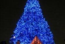 Blue christmas elvis decoration ideas. 58 Blue Christmas By Elvis Ideas Blue Christmas Christmas Blue Christmas Tree