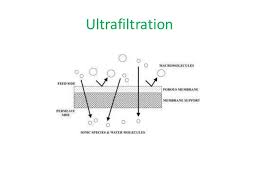 Downstream Processing