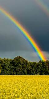 Eine kreation unseres präsidenten michael bong. Warum Menschen Nie Denselben Regenbogen Sehen The Weather Channel Artikel Von The Weather Channel Weather Com