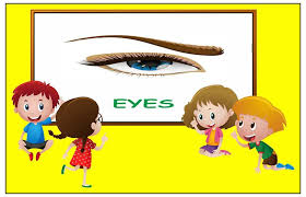 Parts of the body word cards. Body Parts Name For Kids For Android Apk Download