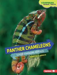 Maybe you would like to learn more about one of these? Panther Chameleons Color Changing Reptiles Lerner Publishing Group