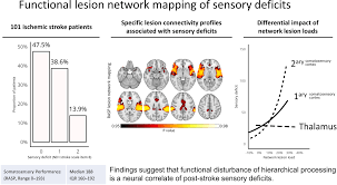 Image result for Neurologic Lesion Localization