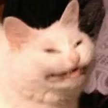 Pfps for discord funny are a topic that is being searched for and appreciated by netizens nowadays. 34 Discord Pfps Ideas Meme Faces Cute Memes Funny Profile