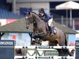 495 likes · 2 talking about this. Fei Gibt Zu Es Sind Fehler Passiert Bei Olympia Qualifikationsturnieren Der Springreiter