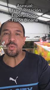 Replying to @santiagu_s , La reproducción de algas. , Un tema extenso, pero  importante para saber cómo erradicarlas., #algas #acuariosplantados #fyp  #hobby