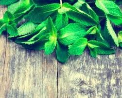 Mint can also be used to control insect pests in the garden. 5 Natural Smells That Pests Cannot Stand